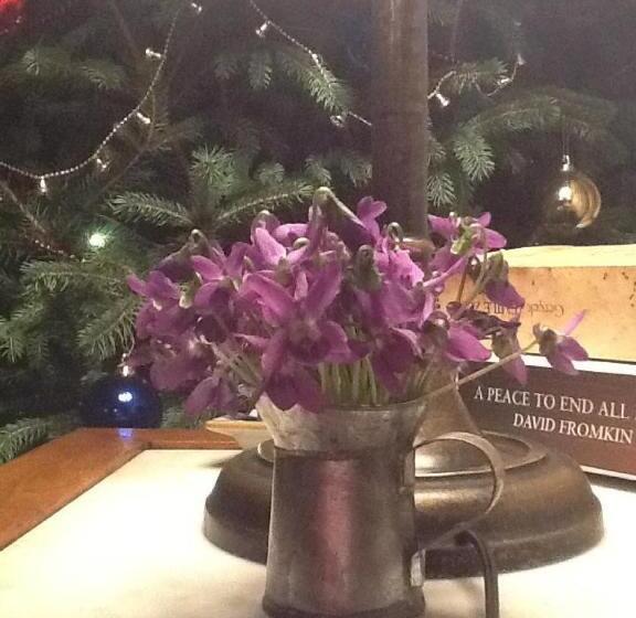 هتل Kamarca House