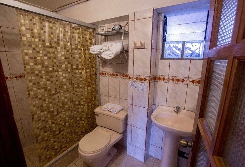 호텔 Sequeiros Garden