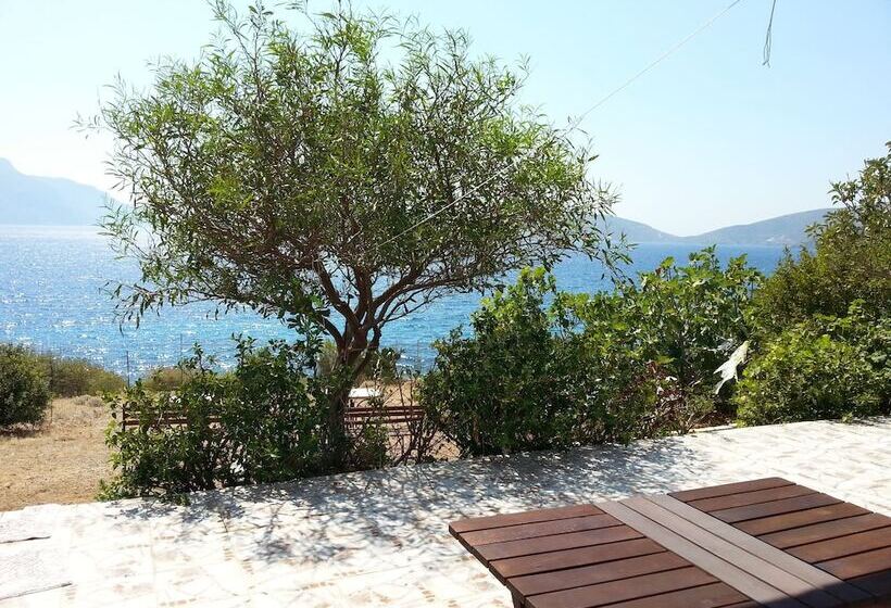 בית מלון כפרי Panormitis Pizanias Houses