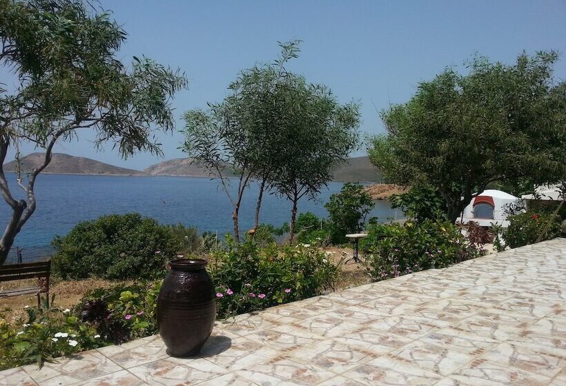 בית מלון כפרי Panormitis Pizanias Houses