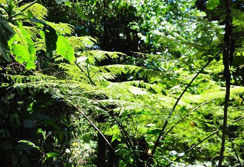 ホテル Pazifico Villas