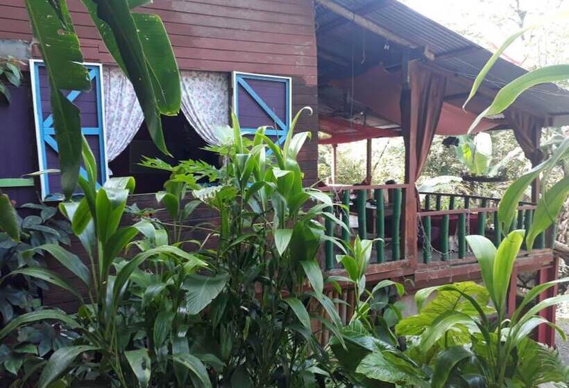 בית מלון כפרי Posada Nena Caribe