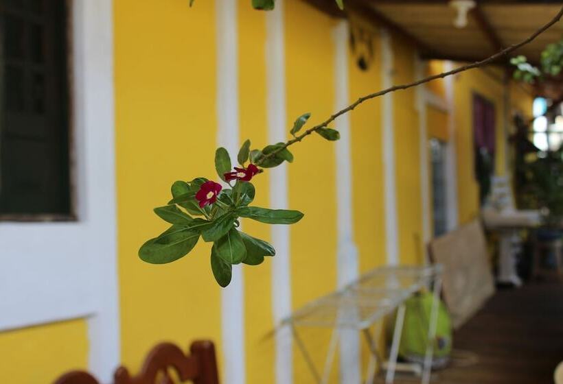 ホテル Pousada água Viva