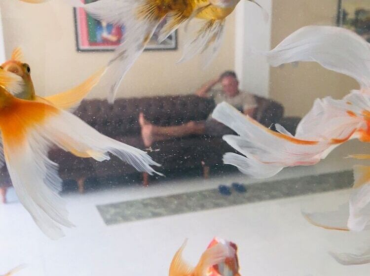 酒店 Pousada Mirante Do Cunhaú