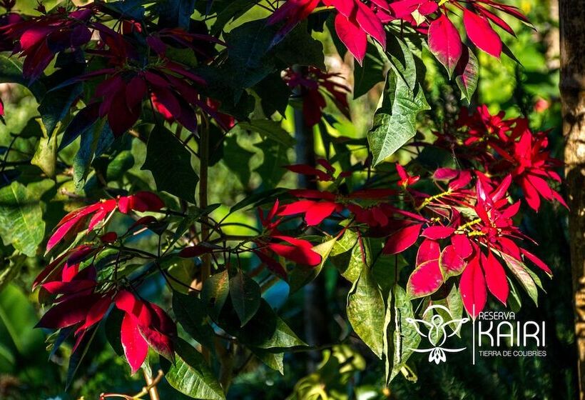 בית מלון כפרי Reserva Kairi