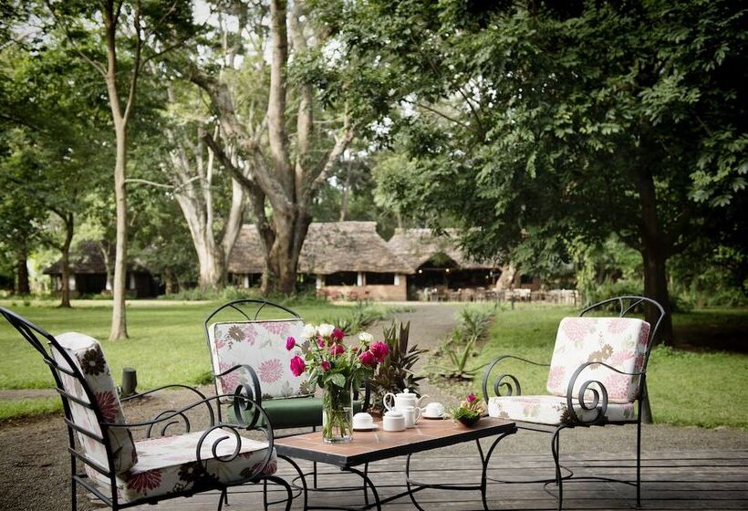 Отель Rivertrees Country Inn