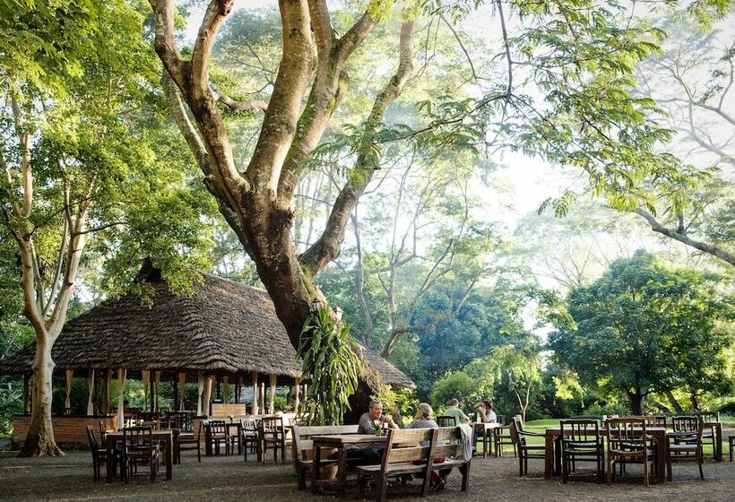 Отель Rivertrees Country Inn