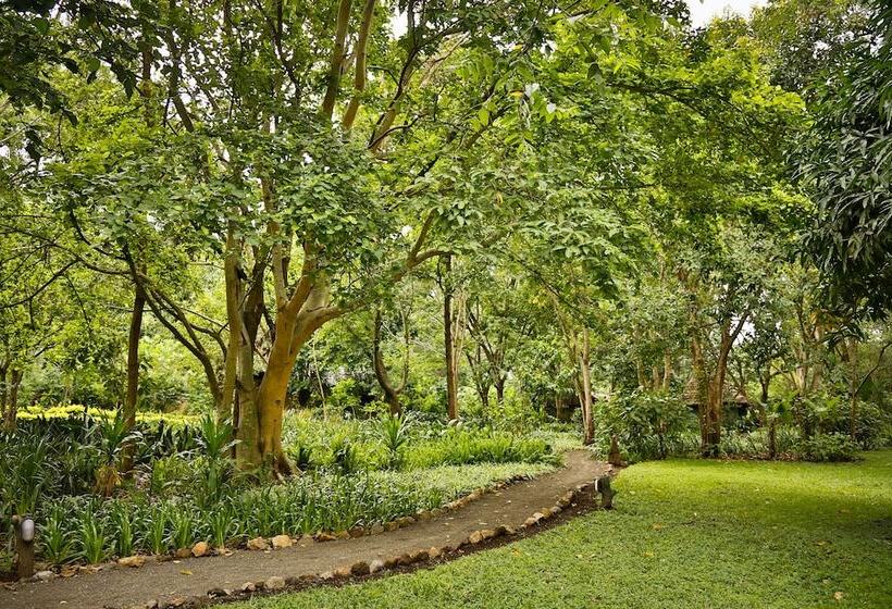 Отель Rivertrees Country Inn