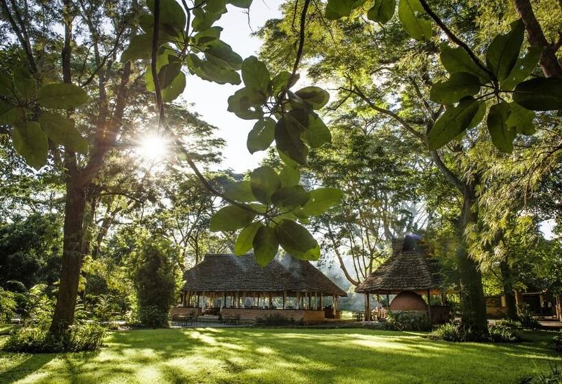 Отель Rivertrees Country Inn