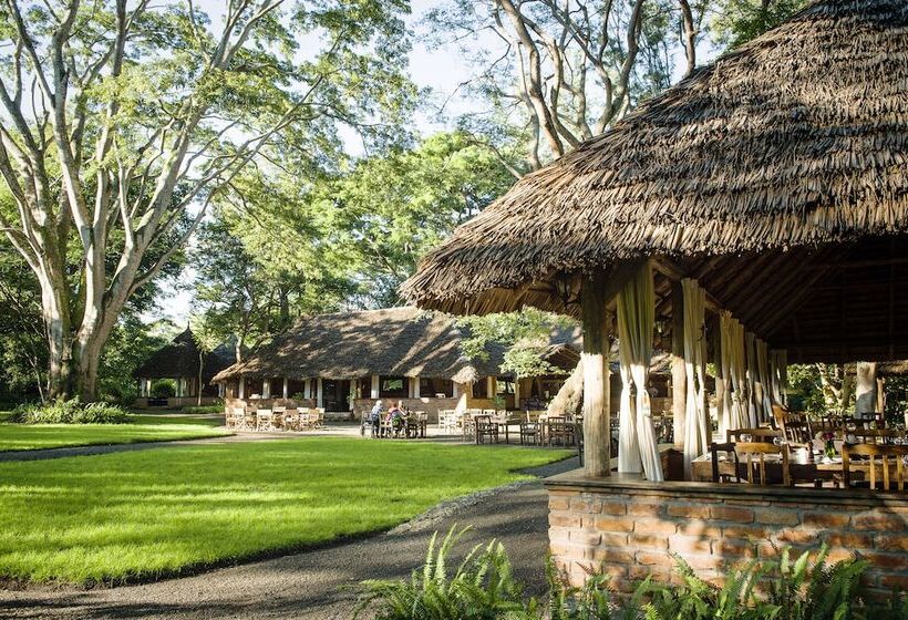 Отель Rivertrees Country Inn