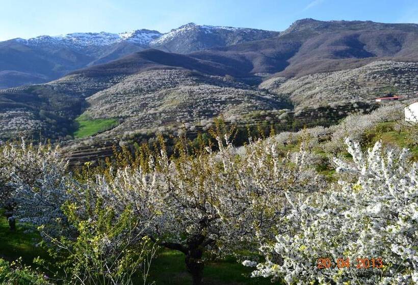 فندق Senderos Del Jerte