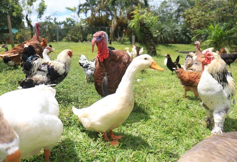 فندق Sueño Real Rio Celeste