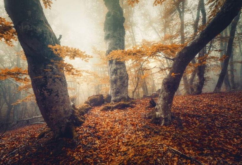 فندق The Yellowwood