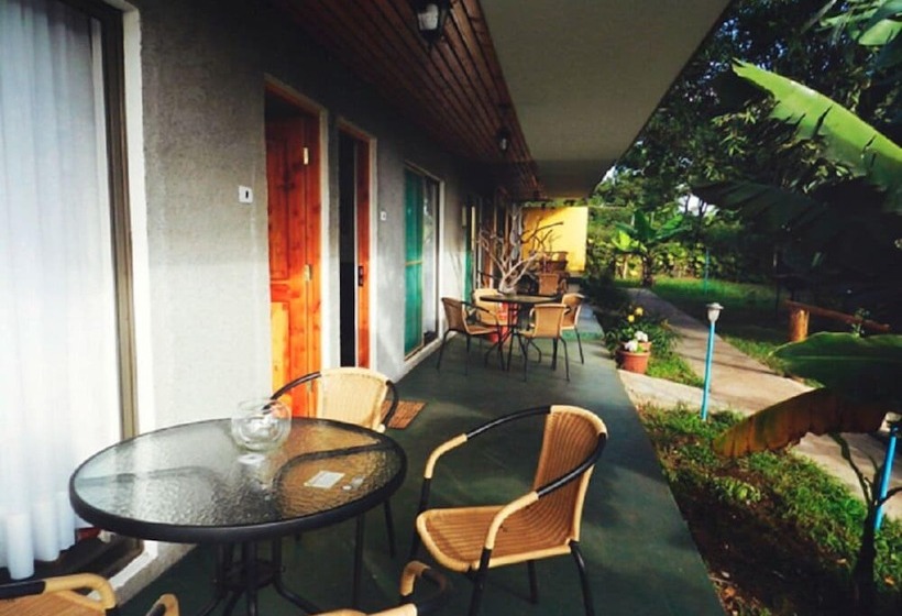 Mangai Rapa Nui   Hostel