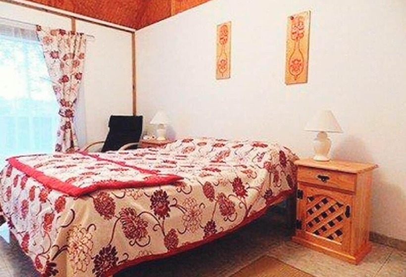 Mangai Rapa Nui   Hostel