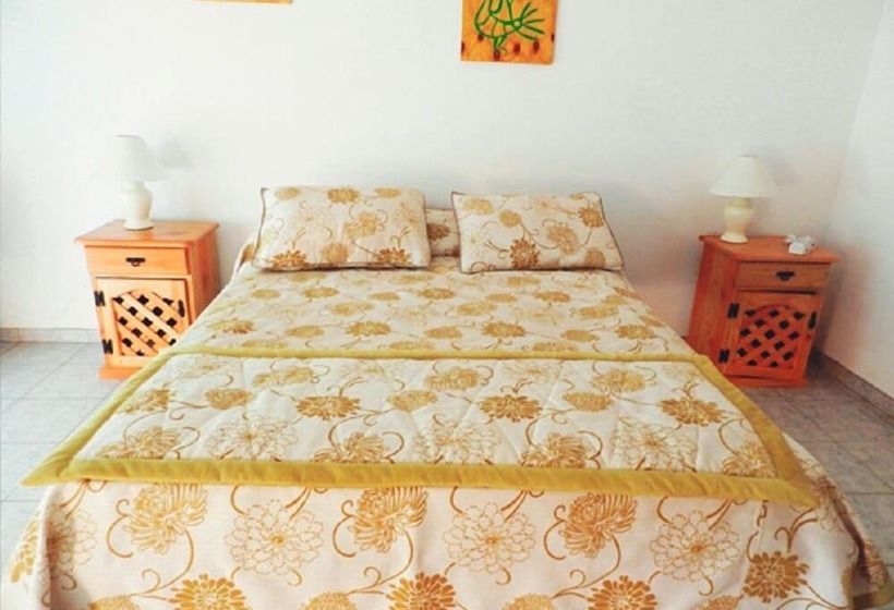 Mangai Rapa Nui   Hostel