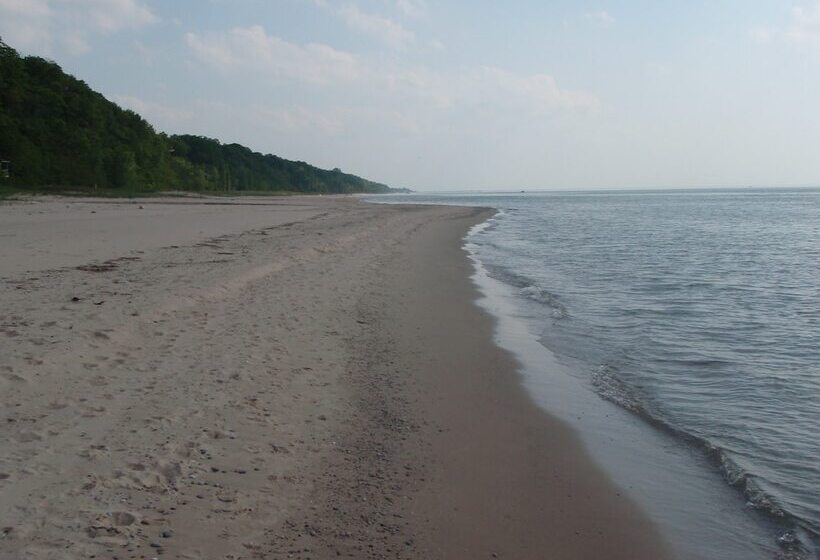 Martha's Vineyard Bed & Breakfast