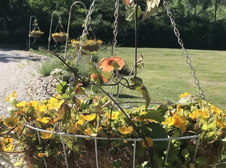 Martha's Vineyard Bed & Breakfast