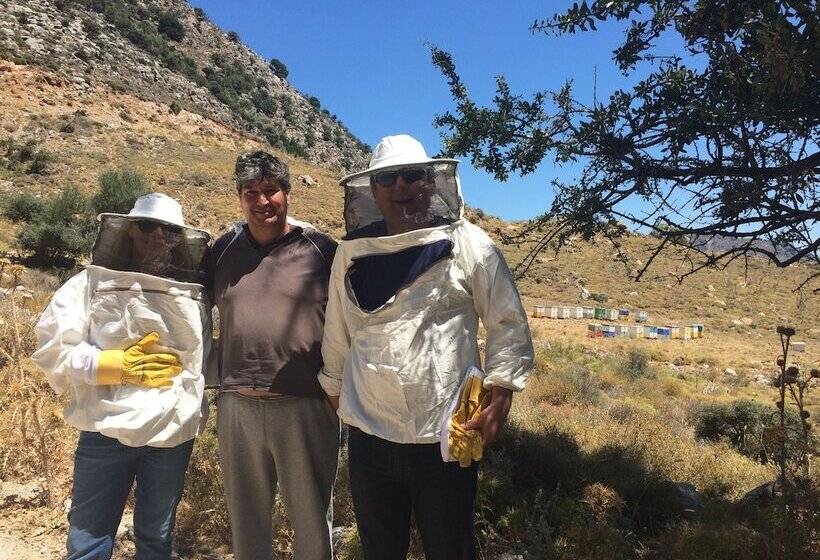 Milatos Village Cretan Agrotourism