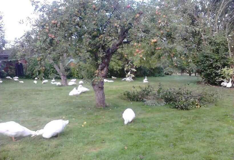 Moen Oekologisk Bed & Breakfast