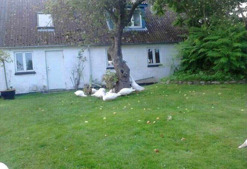 Moen Oekologisk Bed & Breakfast