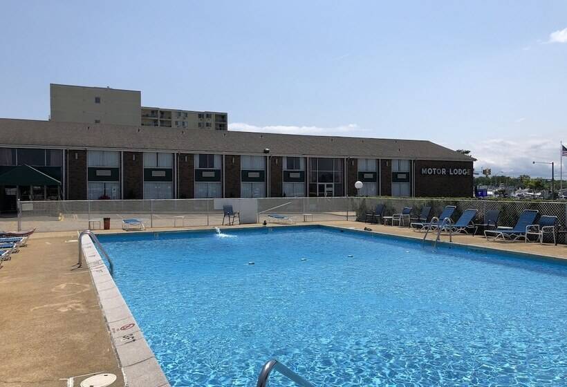 汽车旅馆 Belmar Motor Lodge