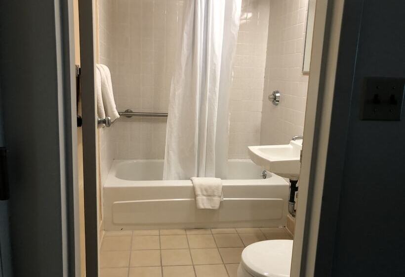 汽车旅馆 Belmar Motor Lodge