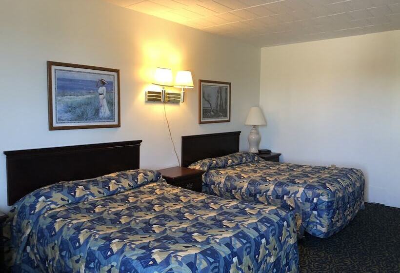 汽车旅馆 Belmar Motor Lodge