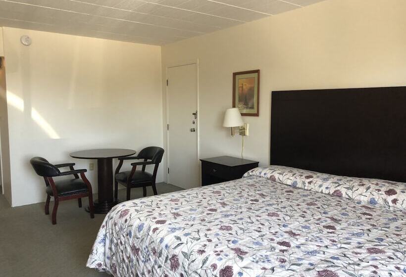 汽车旅馆 Belmar Motor Lodge