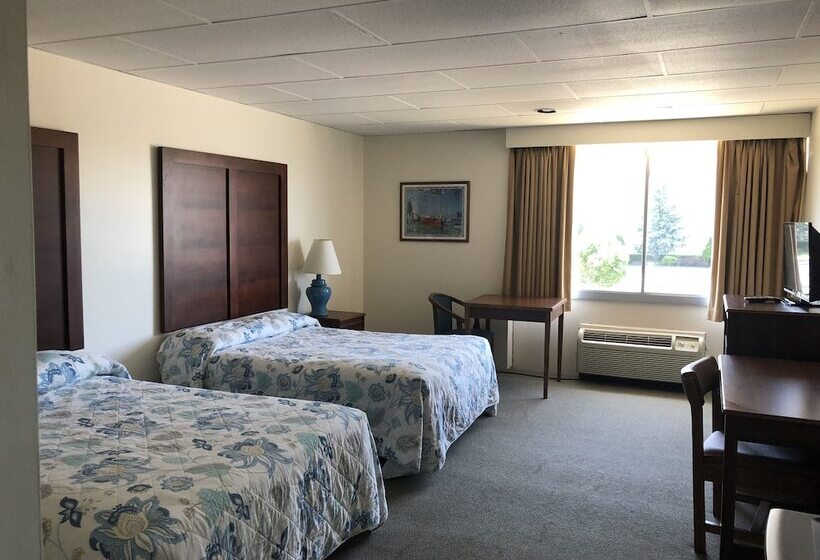 汽车旅馆 Belmar Motor Lodge