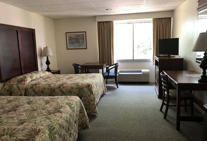 汽车旅馆 Belmar Motor Lodge