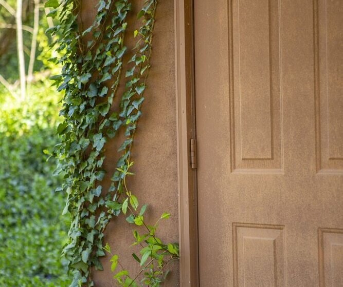 מוטל Chimney Rock Inn