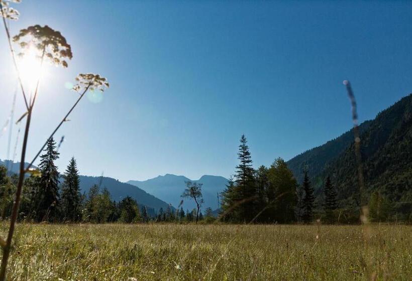 펜션 Alpen Gästehaus