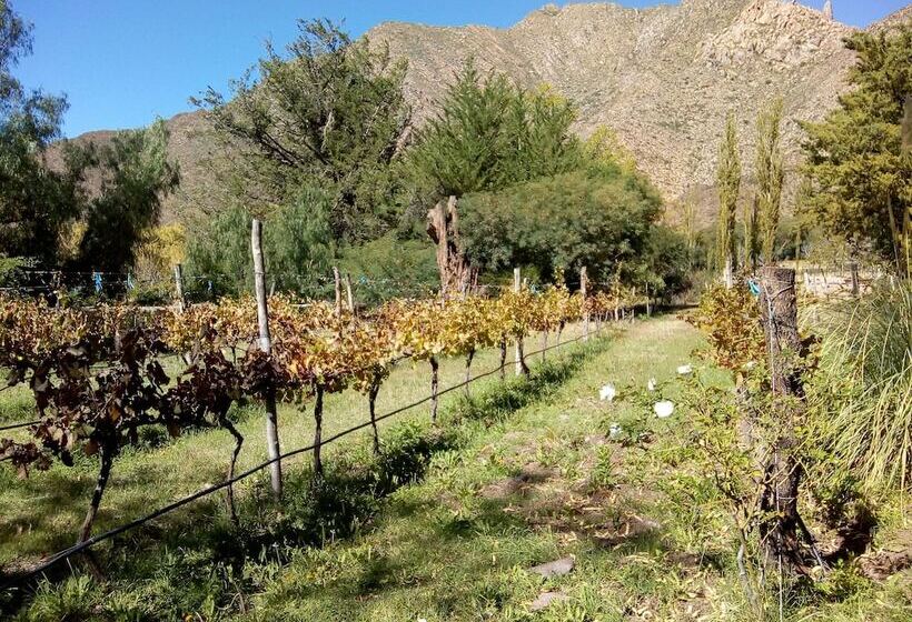 پانسیون Casa De Campo La Paya