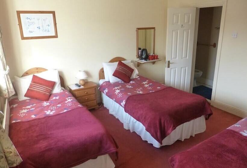 Пансион Dooley's Townhouse