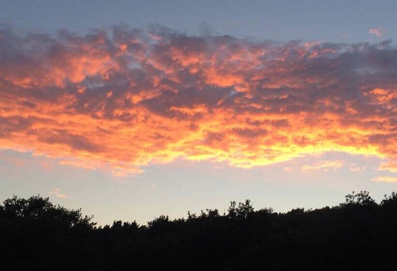 Pension Hammerknuden