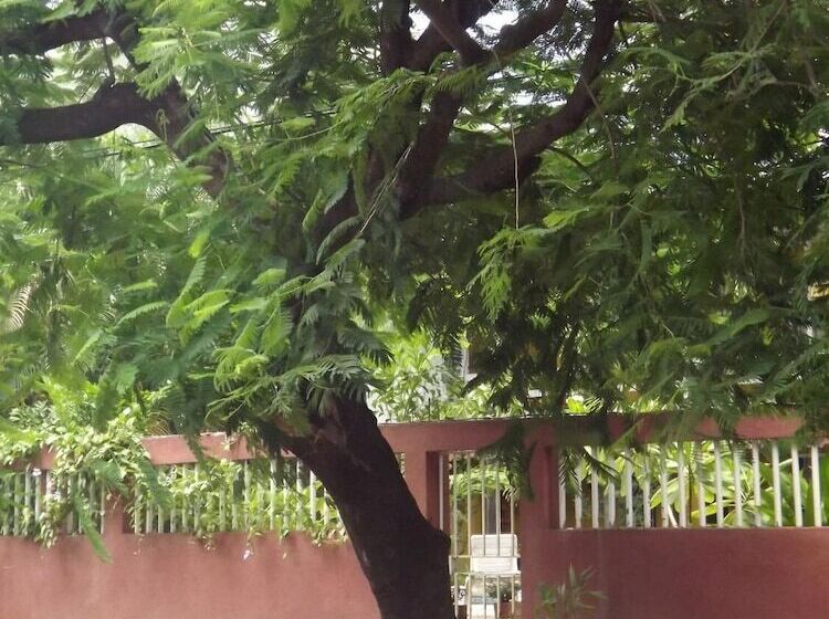 פנסיון Laura S House Bed & Breakfast