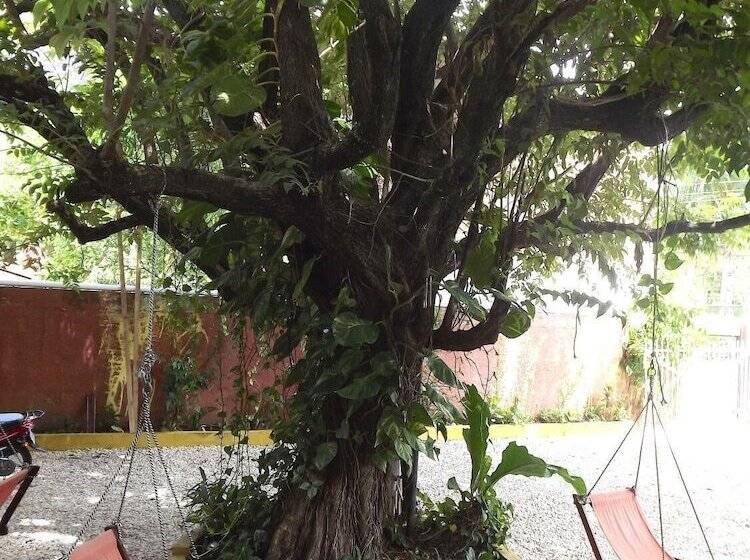 פנסיון Laura S House Bed & Breakfast