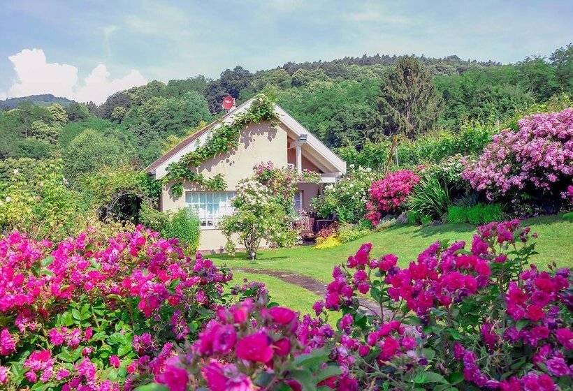 بنسيون Le B. Cottage