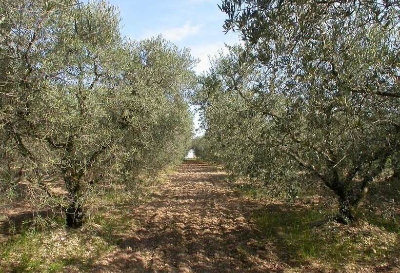 펜션 Le Mas D'emilie