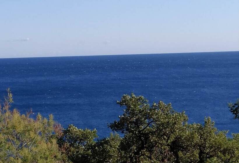 פנסיון Navynet