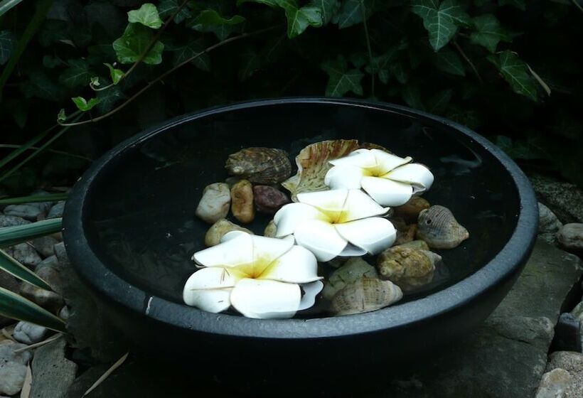 פנסיון Penzion Exotic