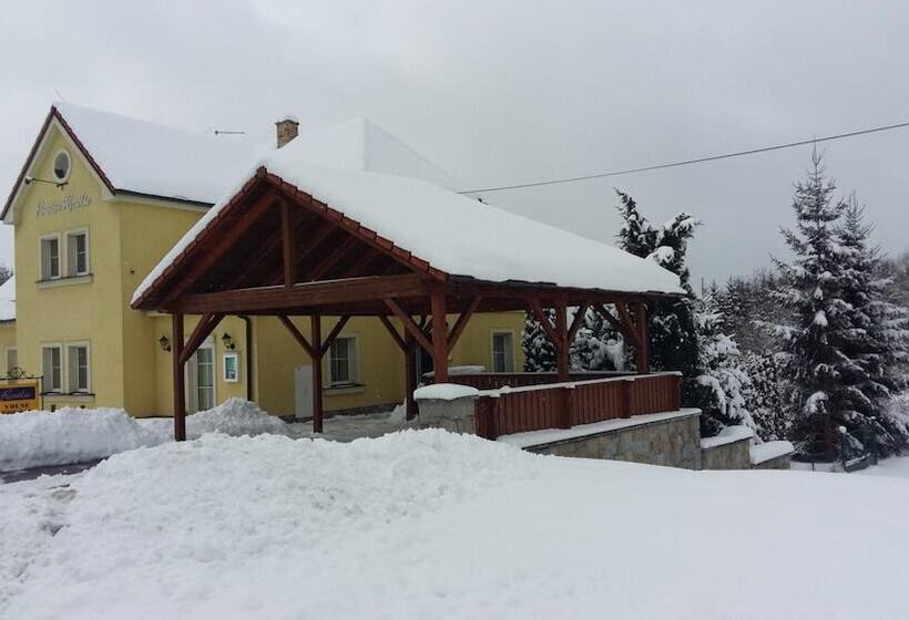 ペンション Penzion Rozalie