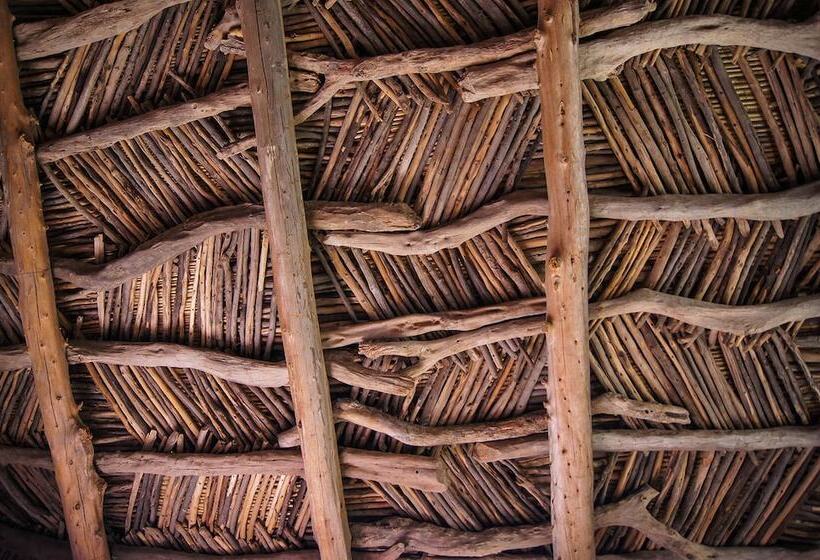 پانسیون Riad Oued Ramis