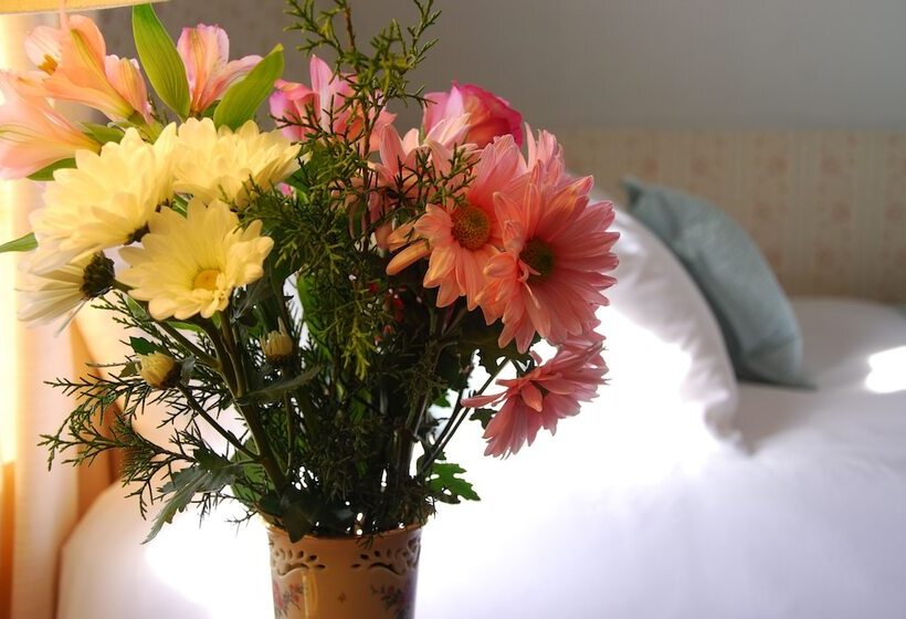 膳宿费 Spring Hill Inn