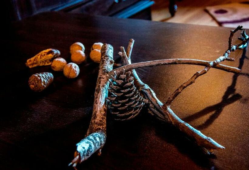 بنسيون Theasis Suites ορεινή φιλοξενία