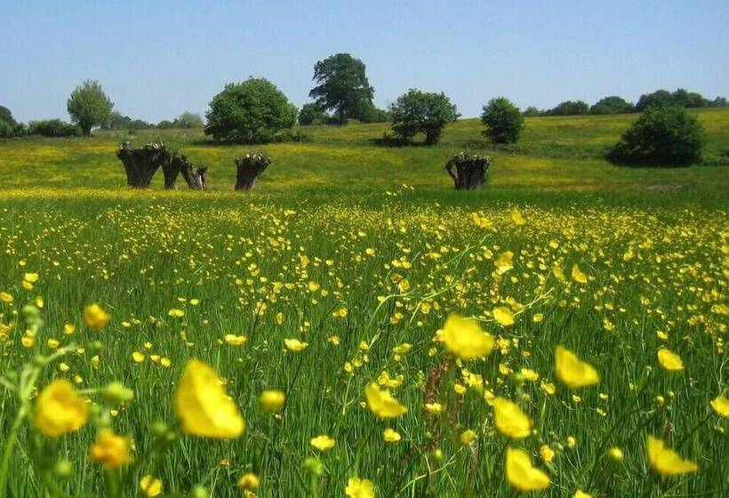 استراحتگاه Bungalowpark Landsrade