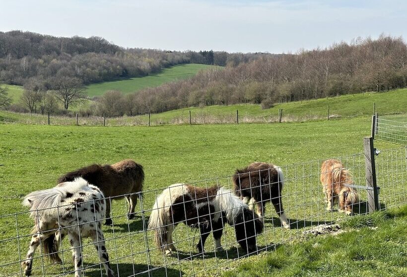 استراحتگاه Bungalowpark Landsrade