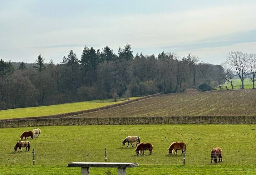 استراحتگاه Bungalowpark Landsrade