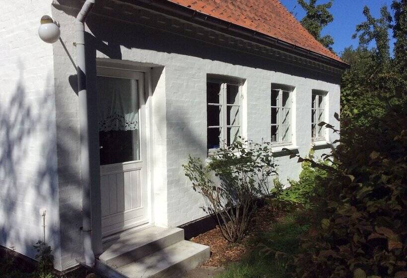 Askø Mejeri   B&b